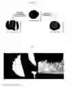 Fig. 04 - Catalyst filter comprising nano metallic catalyst sprayed on the surface of support