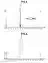 Fig. 03 - Mononuclear ruthenium complex and organic synthesis reaction using same