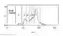 Fig. 05 - IL-15/IL-15Ralpha based conjugates purification method