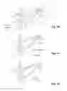 Fig. 03 - Fluidics system for sequential delivery of reagents