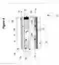 Fig. 05 - DROPLET MICROFLUIDIC DEVICE AND METHODS OF SENSING THE RESULTS OF AN ASSAY THEREIN