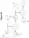 Fig. 19 - DROPLET MICROFLUIDIC DEVICE AND METHODS OF SENSING THE RESULTS OF AN ASSAY THEREIN