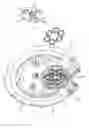 Fig. 06 - Switch valve and shower head applied with the switch valve
