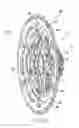 Fig. 12 - Cassette and bicycle wheel assembly
