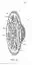 Fig. 14 - Cassette and bicycle wheel assembly