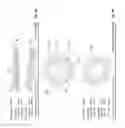 Fig. 06 - Canted coil springs and assemblies and related methods