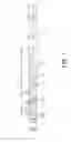 Fig. 02 - Drill and method of manufacturing drilled product