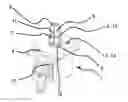 Fig. 01 - INTERIOR GRASPER