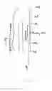 Fig. 09 - PLASTIC ARTICLE FORMING APPARATUSES AND  METHODS FOR CONTROLLING MELT FLOW IN REAL TIME USING ADDITIVES