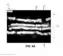 Fig. 19 - Composite feedstock strips for additive manufacturing and methods of forming thereof