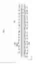 Fig. 02 - Recording head, recording head adjusting system, and recording head adjusting method