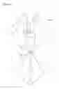 Fig. 06 - Decorative Ornament