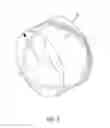 Fig. 05 - Crown Reinforcement For An Airplane Tire