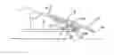 Fig. 01 - Repositionable load carrying tray assembly for a vehicle