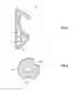Fig. 04 - HOOK DEVICE FOR USE IN A VEHICLE