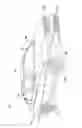 Fig. 02 - Casting, hollow interconnecting member for connecting vehicular frame members, and vehicular frame assembly including hollow interconnecting member