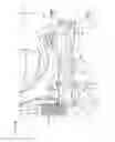 Fig. 07 - Vehicle front structure