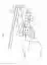 Fig. 05 - Vehicle rear body structure