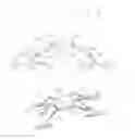 Fig. 03 - Quadra walker