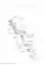 Fig. 11 - Quadra walker
