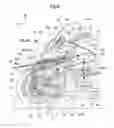 Fig. 09 - Straddle type vehicle