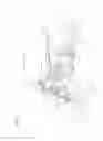 Fig. 02 - STRADDLED VEHICLE