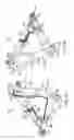 Fig. 06 - Three-position aircraft tail skid mechanism and method of actuation