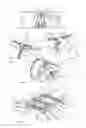 Fig. 03 - Aircraft engine unit comprising an improved front engine attachment