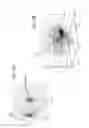Fig. 18 - Adaptive scan rate space surveillance sensor for super-GEO orbits
