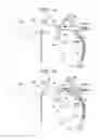 Fig. 08 - Apparatus for processing sheets and apparatus for forming images provided with the same