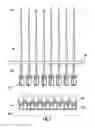 Fig. 05 - Egg lifting device, and associated systems and methods