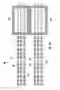 Fig. 21 - Egg lifting device, and associated systems and methods