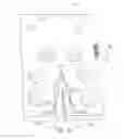 Fig. 08 - Listing bead for upholstery clips
