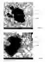 Fig. 07 - CEMENT COMPOSITION FOR OIL AND GAS WELLS AND METHODS FOR USING THE SAME
