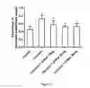 Fig. 02 - Skin-protection composition containing dendrobium-based ingredients