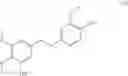 Fig. 32 - Skin-protection composition containing dendrobium-based ingredients