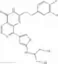 Fig. 181 - Pyridopyrimidinone Compounds for Modulating the Catalytic Activity of Histone Lysine Demethylases (KDMs)