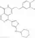 Fig. 183 - Pyridopyrimidinone Compounds for Modulating the Catalytic Activity of Histone Lysine Demethylases (KDMs)