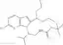Fig. 110 - CDK inhibitors