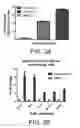 Fig. 07 - Anti-viral compounds, pharmaceutical compositions, and methods of use thereof