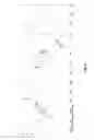 Fig. 07 - Magnetic resonance imaging contrast agent capable of detecting hydrogen peroxide and reducing reactive oxygen species