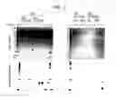 Fig. 02 - Method of liberating peptide and method of recovering peptide