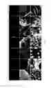 Fig. 13 - Cell penetrating peptide and method for delivering biologically active substance using same