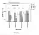 Fig. 08 - IMMUNOGEN PLATFORM
