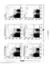 Fig. 19 - IMMUNOGEN PLATFORM
