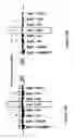 Fig. 35 - IMMUNOGEN PLATFORM