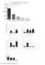 Fig. 02 - VACCINE COMPOSITION COMPRISING ANTHRAX LETHAL FACTOR POLYPEPTIDE