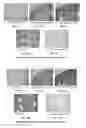 Fig. 11 - Humanized anti-tau antibodies