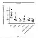 Fig. 16 - Humanized anti-tau antibodies