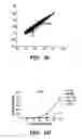 Fig. 06 - METHODS FOR MODULATING IMMUNE RESPONSES DURING CHRONIC IMMUNE CONDITIONS BY TARGETING IL-27 INDUCED PATHWAYS
